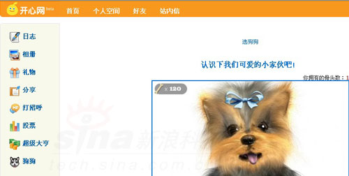科技时代_千橡启用Kaixin.com域名被指克隆开心网
